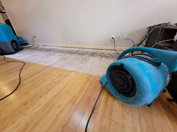 Professional Burst Pipe Water Damage technician working in Webberville, MI